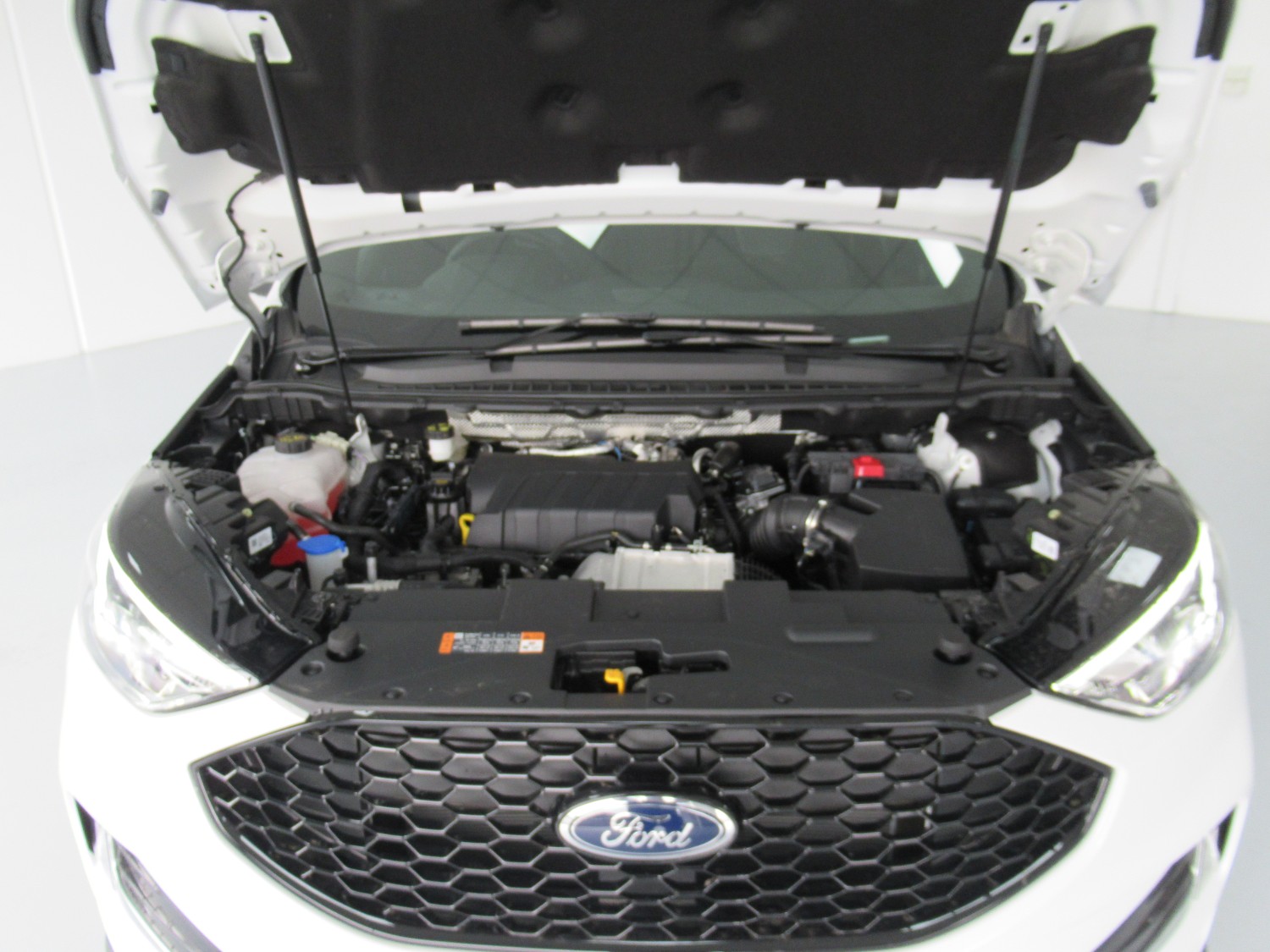 2019 Ford Endura CA ST-Line SUV Image 33