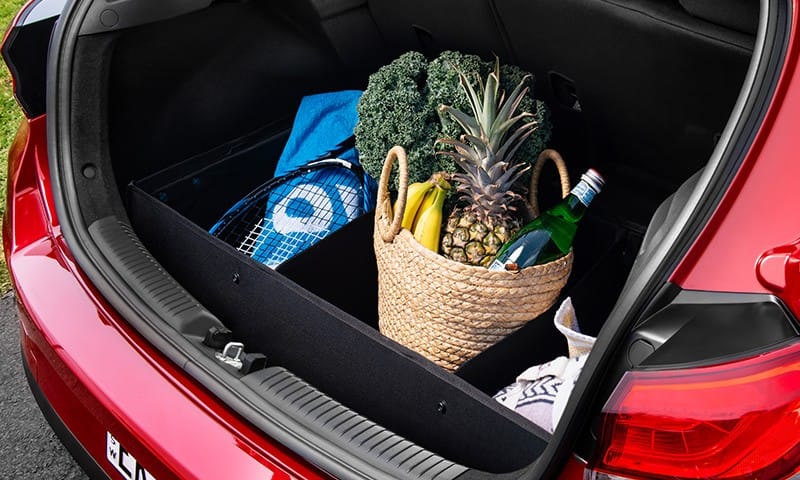 Luxury cargo organiser
