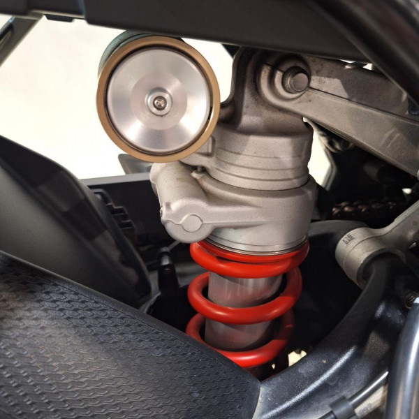 2021 BMW S 1000 R Sport S 1000 image 21