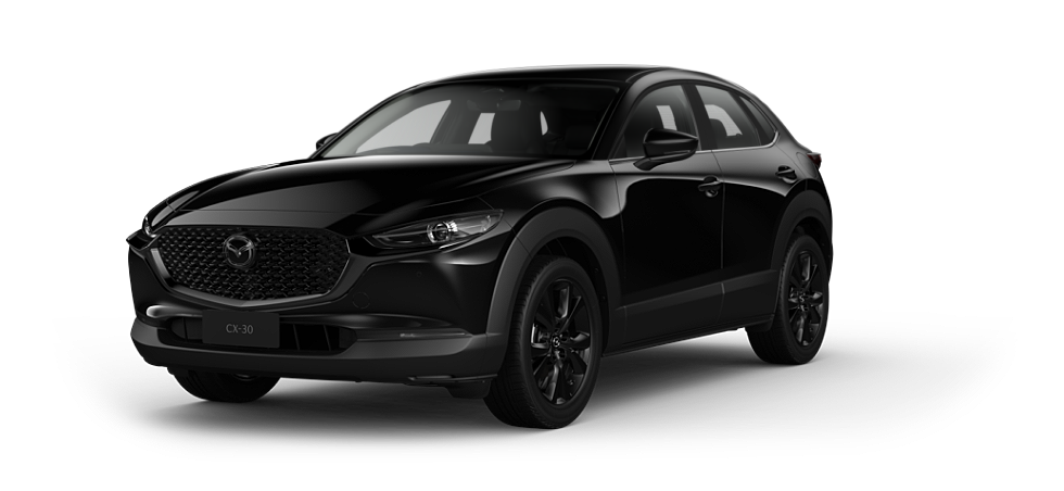 Jet Black Mica