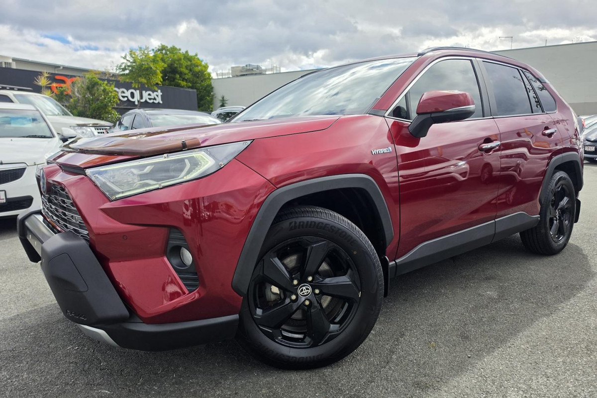 2019 Toyota RAV4 AXAH52R Cruiser SUV