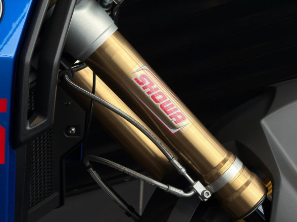 2026 BMW F 900 GS Enduro F 900 image 12