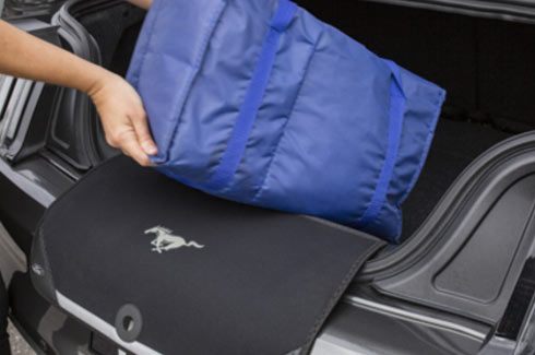 <img src="Boot Scuff Guard - Pony Logo - FLA