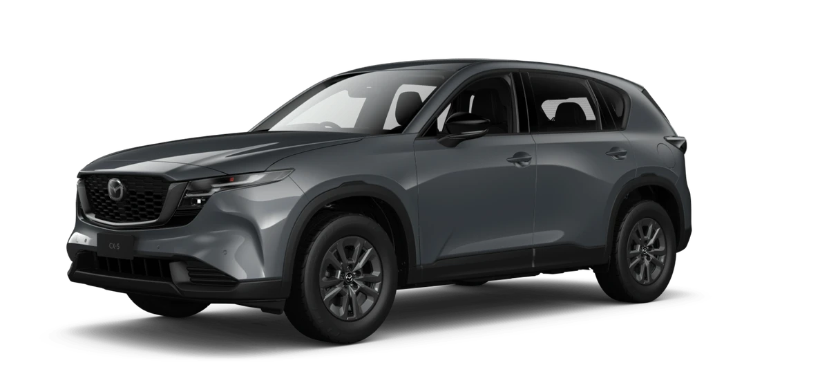 Polymetal Grey Metallic