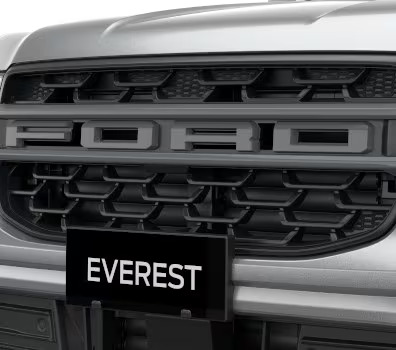 Ford Grille Grey