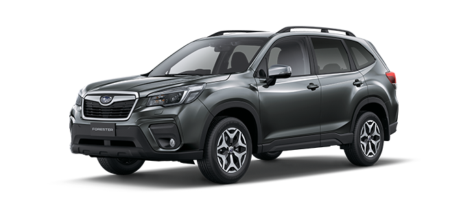 Magnetite Grey Metallic