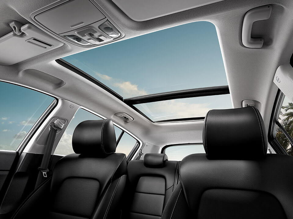 Panoramic Sunroof Image