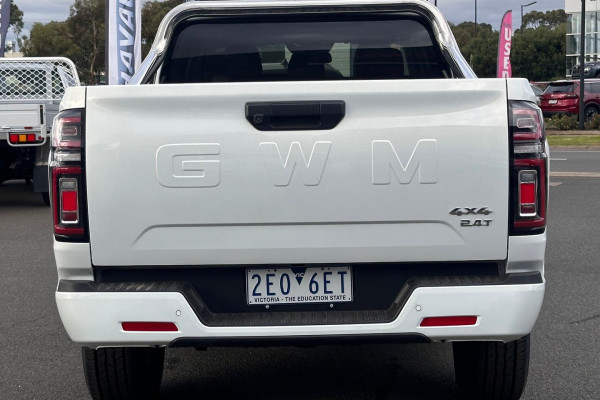 2021 GWM Ute NPW Cannon-L Ute Image 7