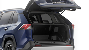 RAV4 Power back door