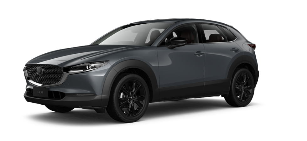 Polymetal Grey Metallic