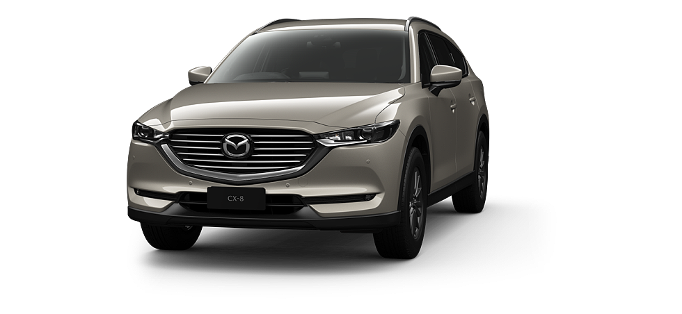 2021 Mazda CX-8 KG Series Touring Other Image 3