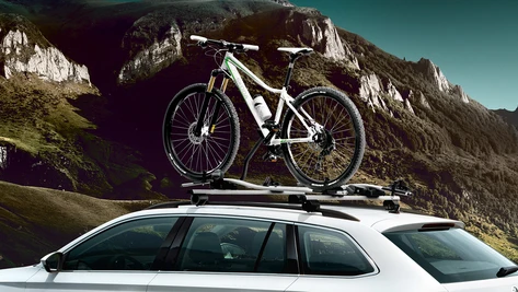 Roof racks (Wagon) &amp; Bicycle carrier