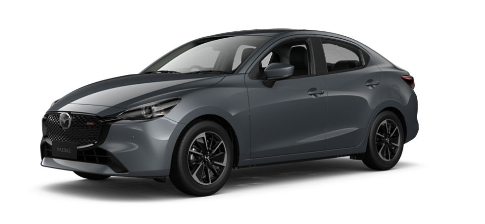 Polymetal Grey Metallic
