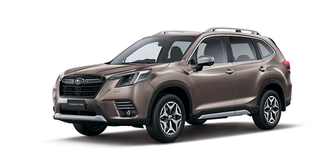 Brilliant Bronze Metallic