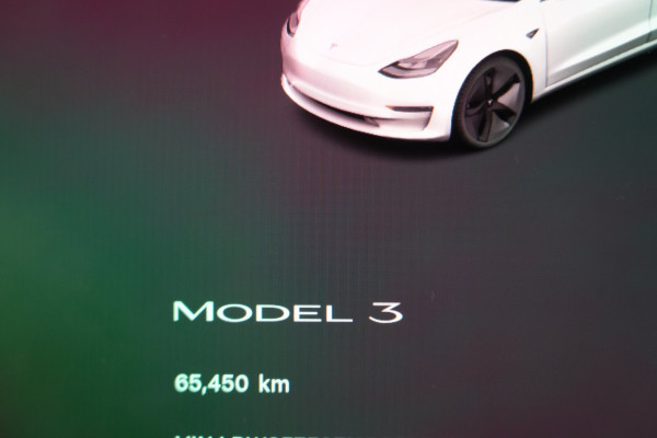 2022 Tesla Model 3  Rear-Wheel Drive Sedan Image 14