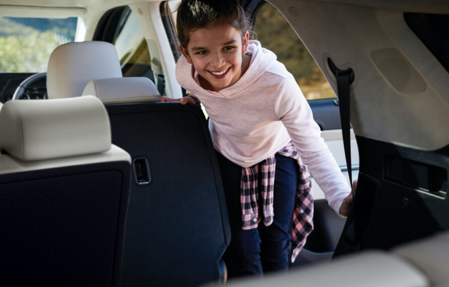 Palisade Walk-in switch.