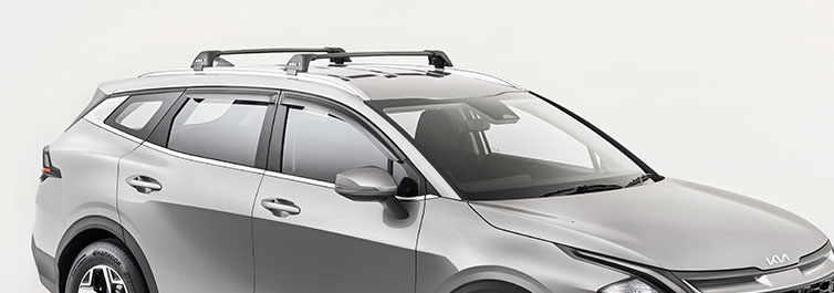 Roof Rack Set (SX)