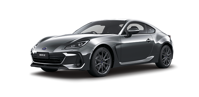 Magnetite Grey Metallic