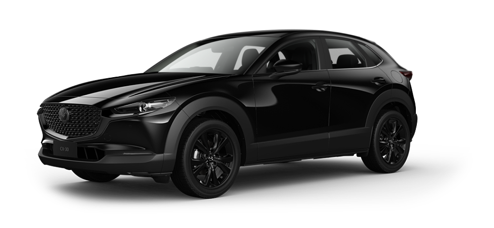 Jet Black Mica