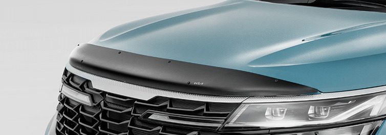 Nose Cone Protector - Smoked