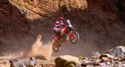 FOR THE MOST DEMANDING OFF-ROAD RIDERS Image