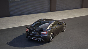 86 A stunning specimen