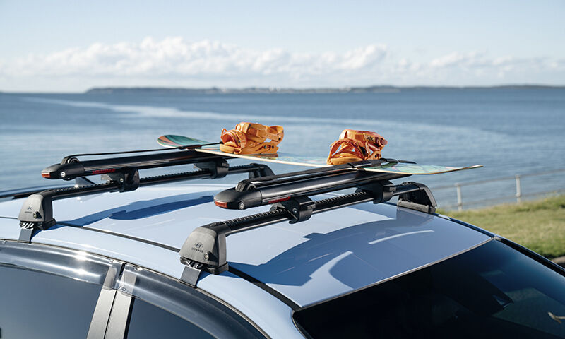 Ski and snowboard carrier