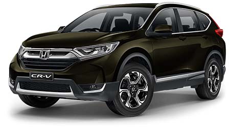 Midnight Forest Metallic