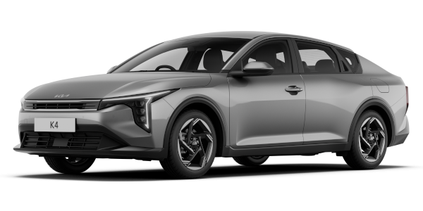 Steel Grey