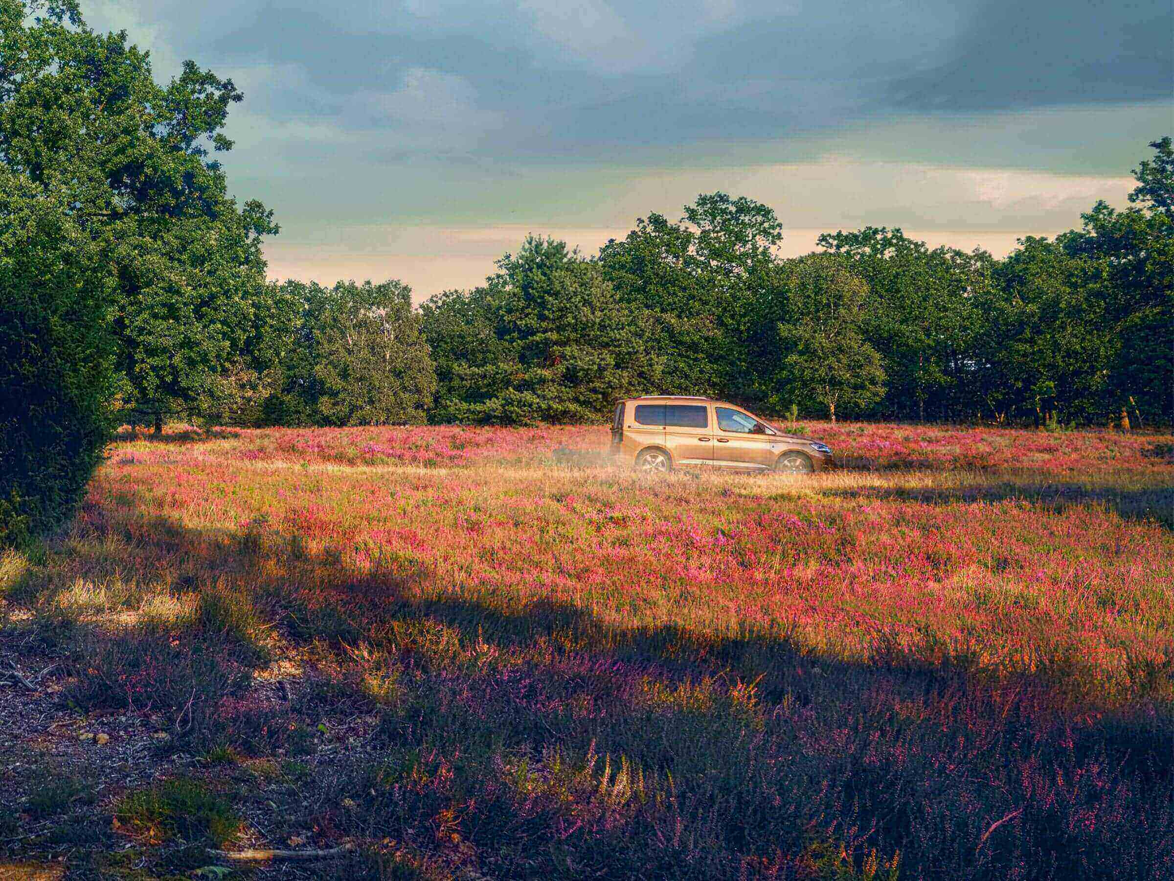 Glide into every adventure Drive and Performance Image