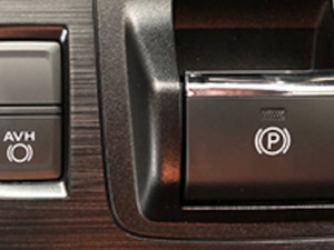 Auto Vehicle Hold Image