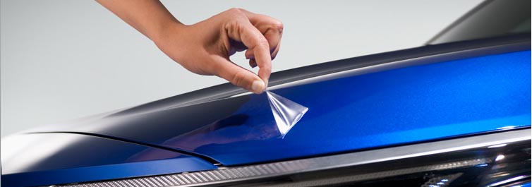 Seltos Paint Protection Film