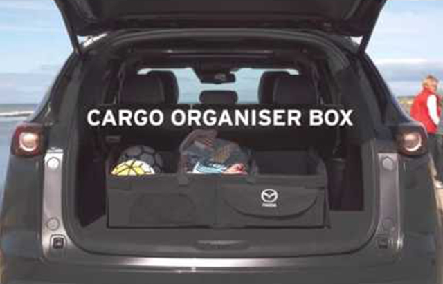 Cargo organiser box