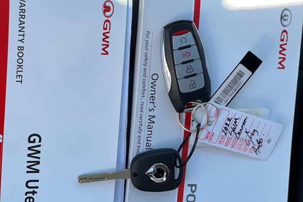 2022 GWM Ute NPW Cannon Ute Image 26