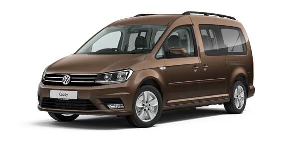 Chestnut Brown Metallic