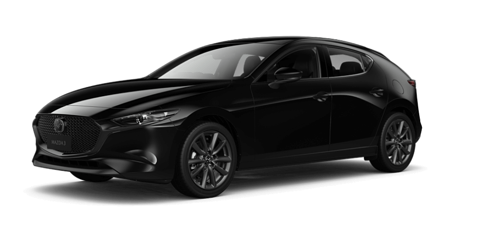 Jet Black Mica