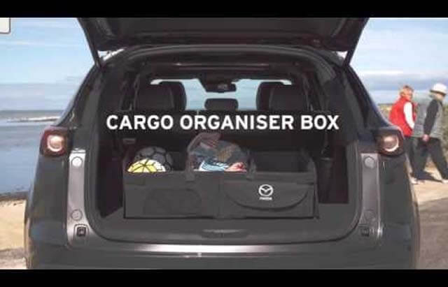 Cargo organiser box