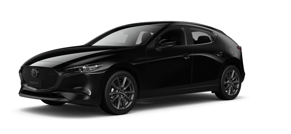 Jet Black Mica