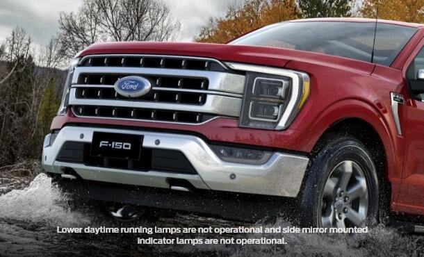LARIAT Grille Image