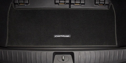 Carpet Cargo Mat