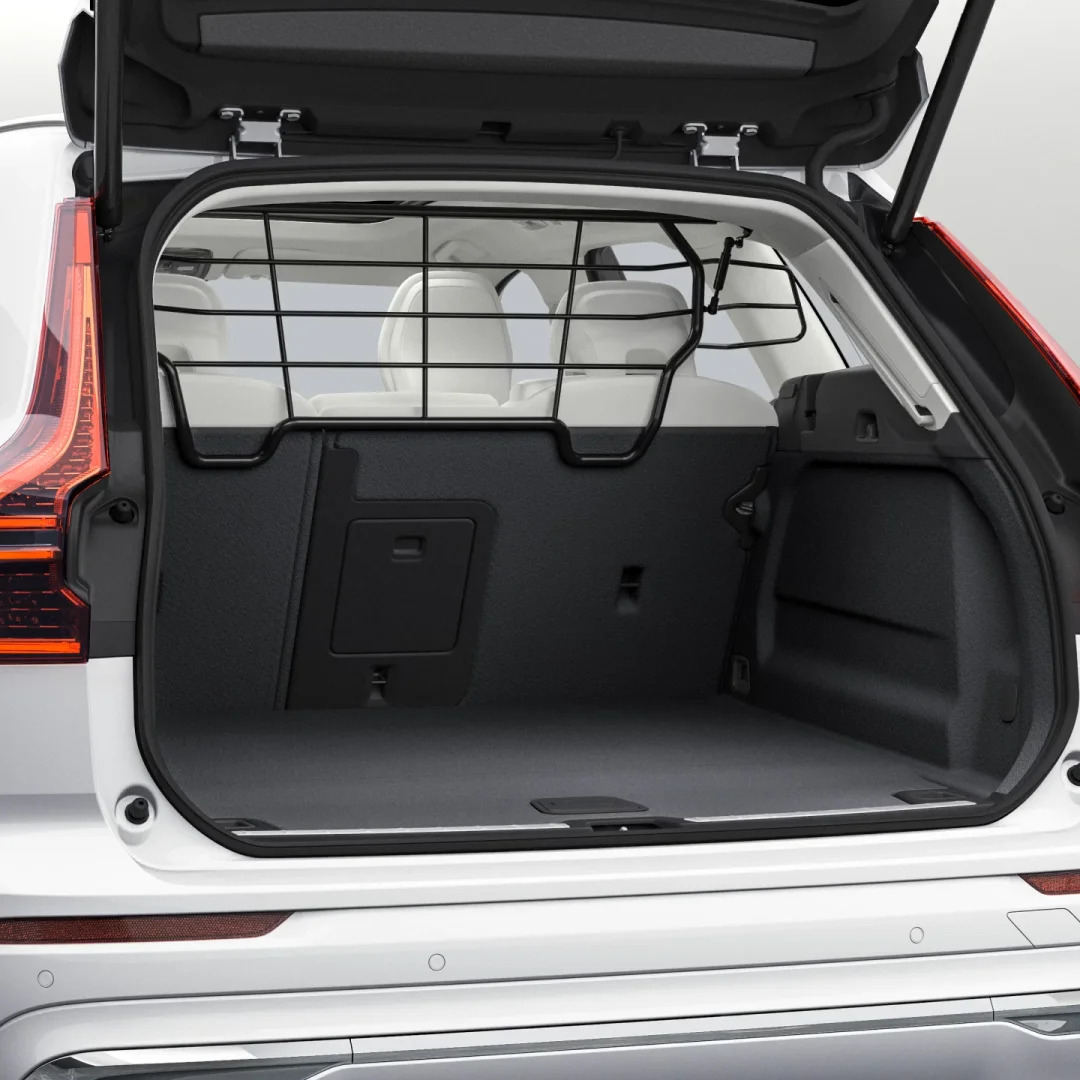 Hidden storage/Cargo divider Image