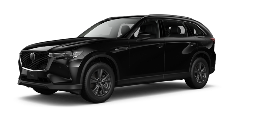 Jet Black Mica