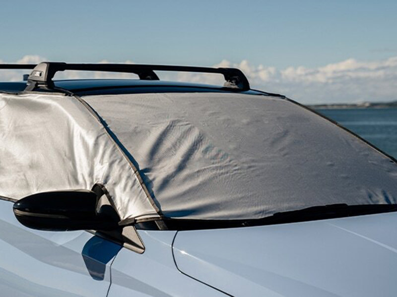 Ice/sun shade
