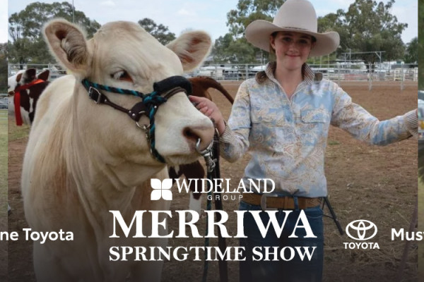 Wideland Group Merriwa Springtime Show