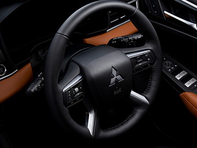 Multifunction Steering Wheel Image