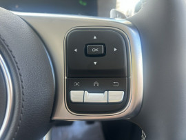 2025 GWM Tank 300 P01 Ultra SUV image 25