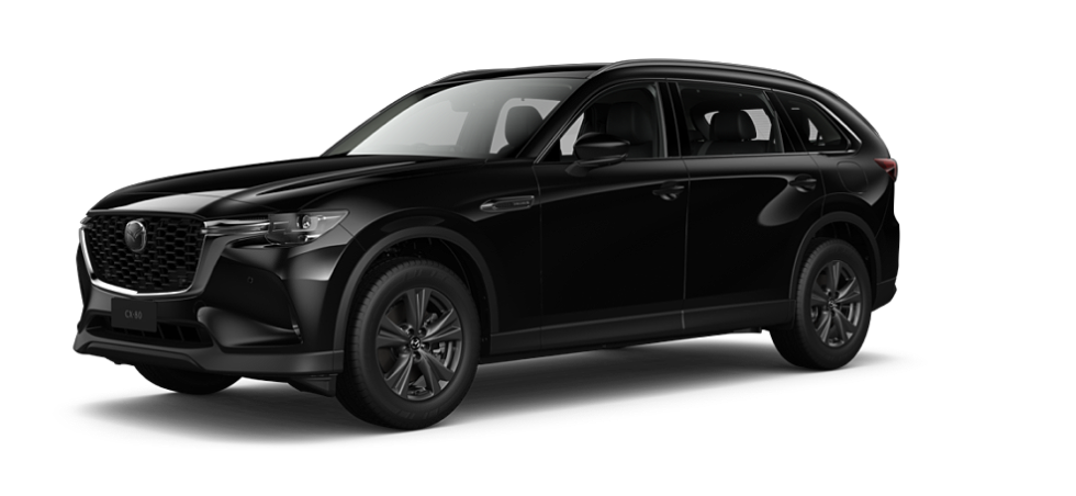 Jet Black Mica