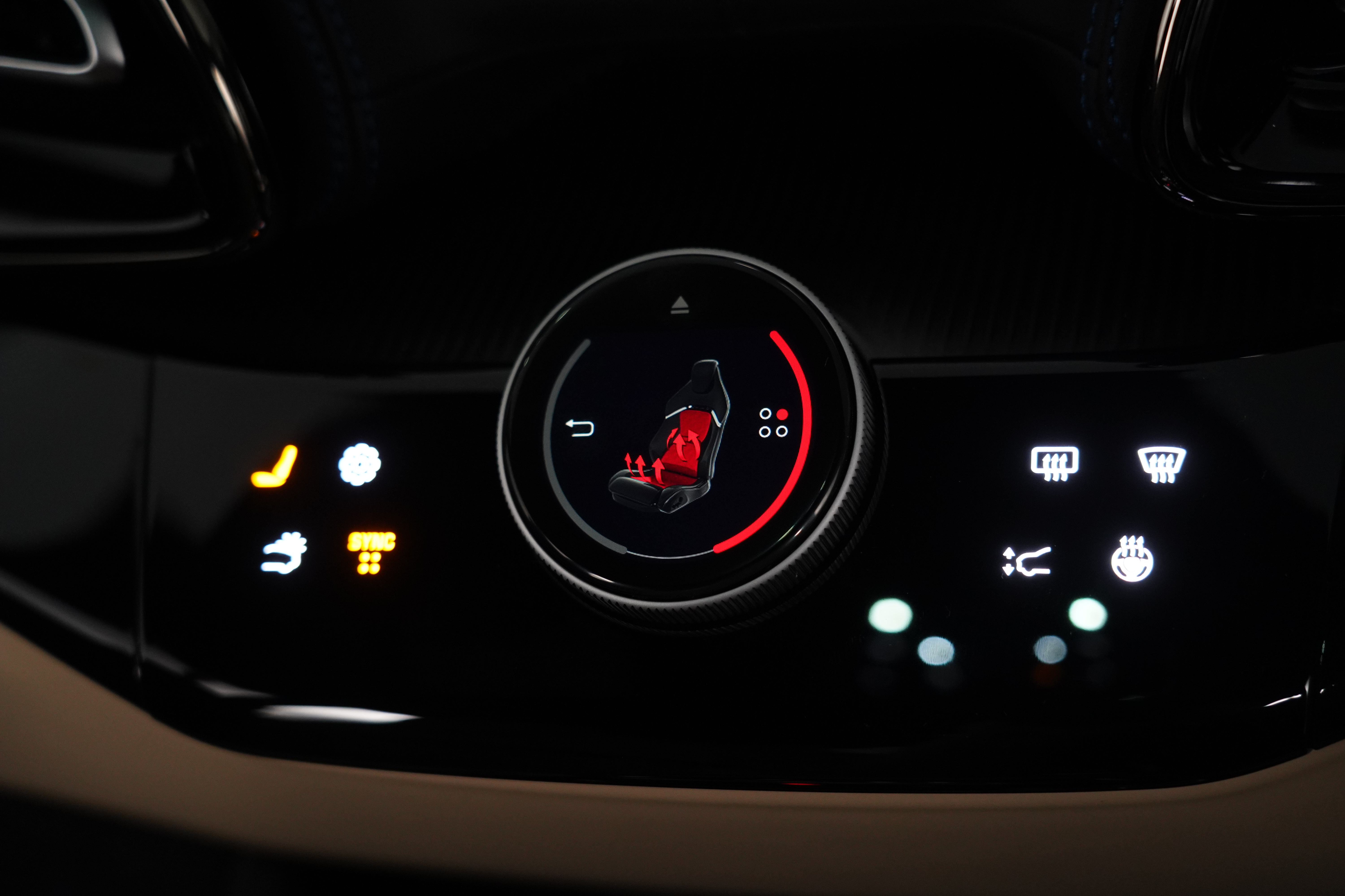 2024 Ferrari Purosangue SUV Image 48