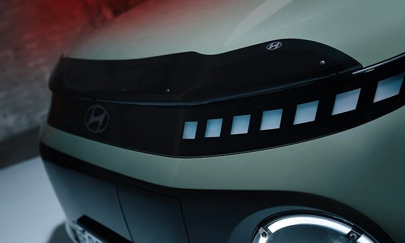 Bonnet protector