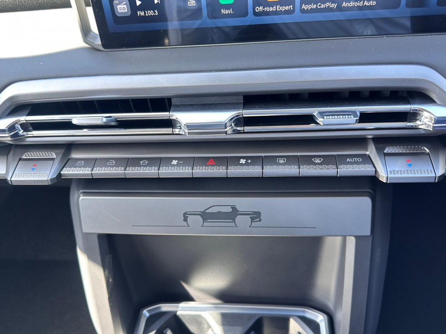 2025 LDV Terron 9 EKK1C Evolve Ute Image 30